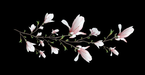 Panele Szklane  realistyczne narysowane z gałązką magnolii. symbol wiosny, utrzymany w minimalistycznym stylu. romantyczny element, na białym tle na czarnym tle. sztuka nowoczesny kwiat do druku, tapety, wystrój. ilustracji wektorowych.