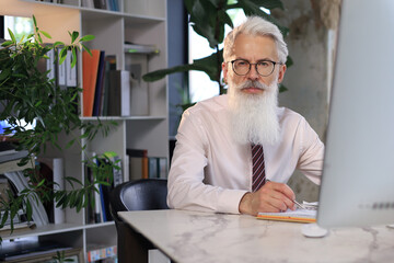 Senior businessman with a stylish beard working on computer at his office desk.