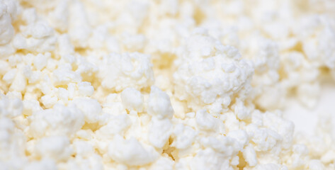Fresh milk curd as background.