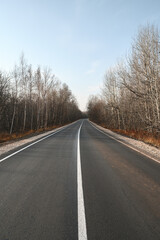 An asphalt way with markings through the morning autumn forest. Road trip concept
