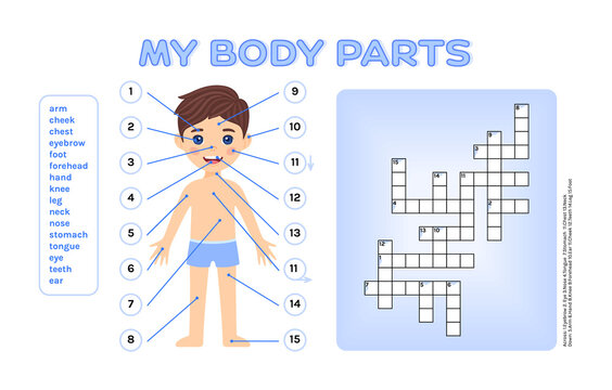 Crossword puzzle and cartoon brunette boy for studying anatomy and biology, for kids. Page from workbook for exercises with children. Template and blank. Flat color style. White background. Vector.