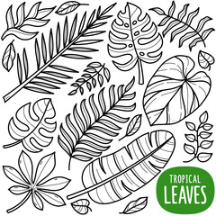 Fototapeta na wymiar Tropical Foliage Doodle Illustration