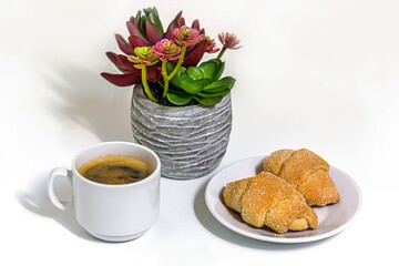 sweet homemade shortcrust pastry bagels on a porcelain plate, a cup of coffee and homeplant succulent on a white surface