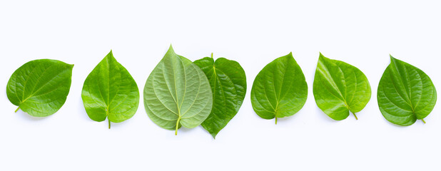 Green betel leaves, Fresh piper betle on white background. Top view