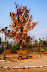 Fototapeta premium autumn trees in the park