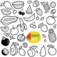 Summer Fruit Doodle Illustration
