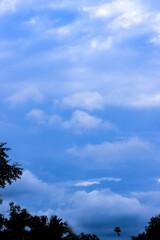 Sunny sky with clouds above the forest vertical view before the evening