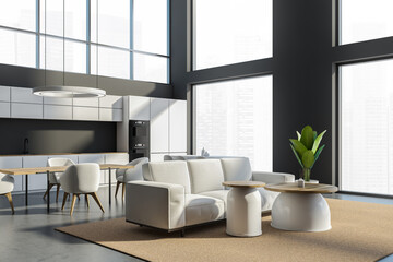 Corner of studio with living room, kitchen areas, grey, white, beige