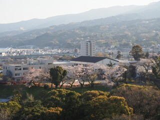 View from the top of Odawara 