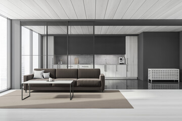 Front view of the grey living room with kitchen, brown sofa