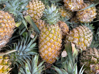 pineapple on the market