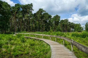 Fototapeten Holzsteg in der Moorlandschaft im Diersfordter Veen © hespasoft