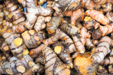 Organic fresh turmeric nature background. Herbal