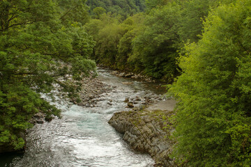 Fototapeta na wymiar Río Aspe en la cara norte de los Pirineos, Francia. Un bonito y espeso bosque que cubre las orillas del río que da nombre al valle.