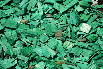 background of green leaves