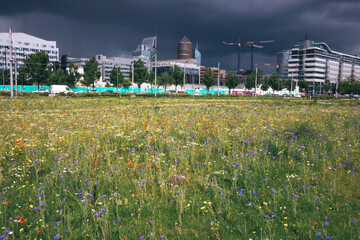 quartier de la Part-dieu à Lyon avec ses tours