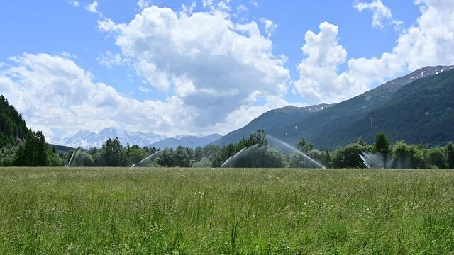 Val Venosta, Trentino, Italy, June 2021. Mountain landscape in a beautiful summer day. The irrigation systems wet the hay meadow, the jets of water visible.