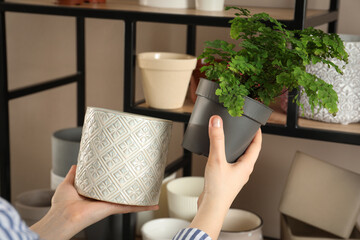 Woman holding houseplant and new pot indoors, closeup © New Africa