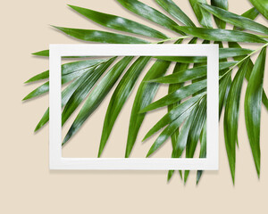green palm leaves Monstera on yellow background. Flat lay, top view