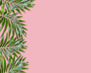 green palm leaves Monstera on pink background. Flat lay, top view