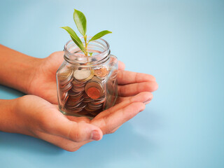 Plant growing in savings coins on hands on blue background for business, growth, economic concept . 