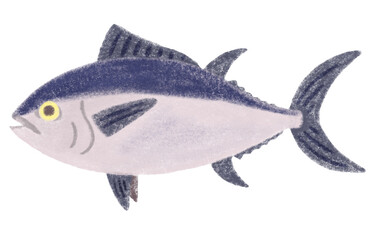 マグロ　This is an illustration of a tuna.