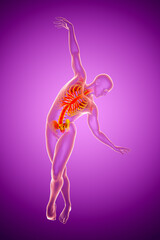 Anatomy of dancing and ballet, 3D illustration
