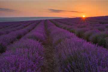 Naklejka na ściany i meble Landscape with sunrise in a beautiful lavender field. Fantastic view, summer scenic view. Lavender flowers are used to make cosmetics and essential oils.