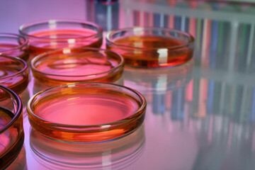 Petri dishes with red liquid on table, closeup