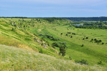 Feather grass on the slopes of the Sylva river valley