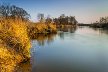 Spring at Warta river in Warta Landscape Park, Poland.