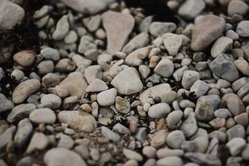 Pebbles on the beach with focus in the center of the frame and blur closer and further away