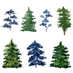 Watercolor pine tree set isolated on white.