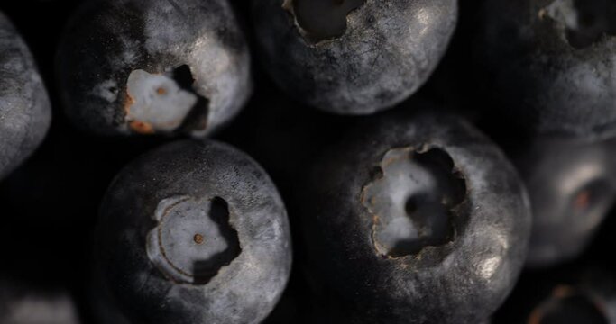 Fresh Blueberry Background. Texture Healthy Food Berries Close-up. Blueberry Antioxidant Organic Food, Healthy Eating and Nutrition. Vegan Vegetarian Healthy Eating. Macro Texture Blueberry Berries.