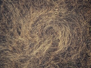 hay bale background