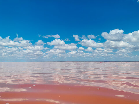 beautiful landscape of salt lake with rose water and blue sky