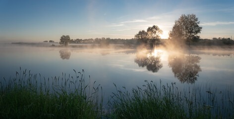 daytime landscape with trees on the bank of the Ural river, Russia June