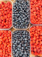 lots of sweet ripe raspberry blueberries for eating