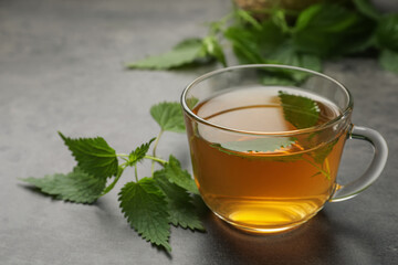 Glass cup of aromatic nettle tea and green leaves on grey table, space for text