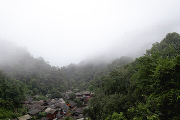 Obraz premium Small village in deep valley covered in fog, Mae Kampong, Chiangmai, Thailand.