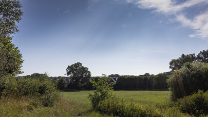 View over a grain field