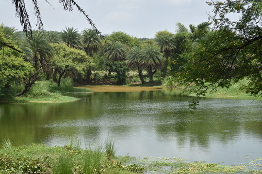van vihar in bhopal, madhya pradesh, india