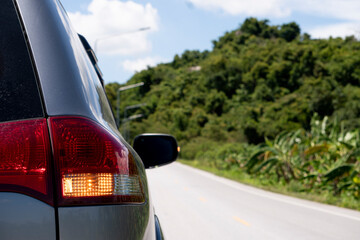 Rear side of gray car with open turn light signal on asphalt. with blurred of green forest and...
