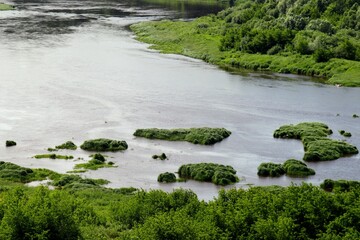 river in the forest