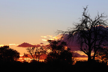 Botswana sunset, Moremi Game Reserve Okavango Delta 
