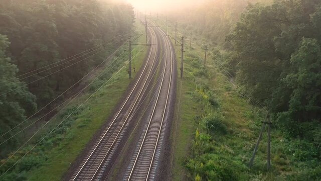 The train moves through the woods in the morning fog at high speeds.