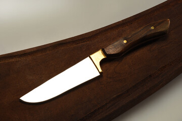Knife on a wooden board