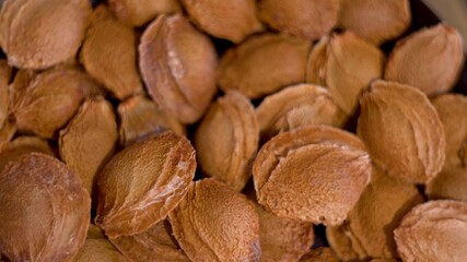 Apricot pits. Peach pits. Nuts. Fruit seeds. Vitamins. Natural product. Healthy eating. GMO. Genetically modified fruit. Seeds for planting. Remains of fruit. View from above. Close-up.