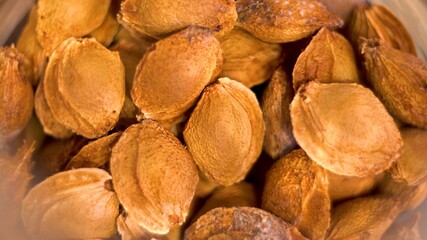 Apricot pits. Peach pits. Nuts. Fruit seeds. Vitamins. Natural product. Healthy eating. GMO. Genetically modified fruit. Seeds for planting. Remains of fruit. View from above. Close-up.