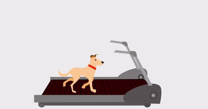  dog running on treadmill 2s animation